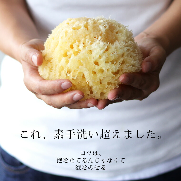楽天市場】天然海綿「ベリーニ」（ハニコム種）高品質スポンジ【ボディ