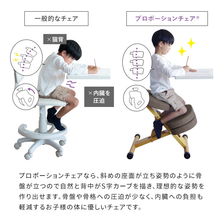 楽天市場】《宮武製作所》 プロポーションチェア 椅子 姿勢 チェア