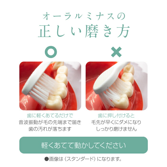 楽天市場】【公式】mous.ORALUMINUS 専用 密集極細毛ブラシ（ショート