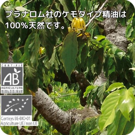 楽天市場】プラナロム イランイラン エクストラ 5ml ※安心の正規輸入