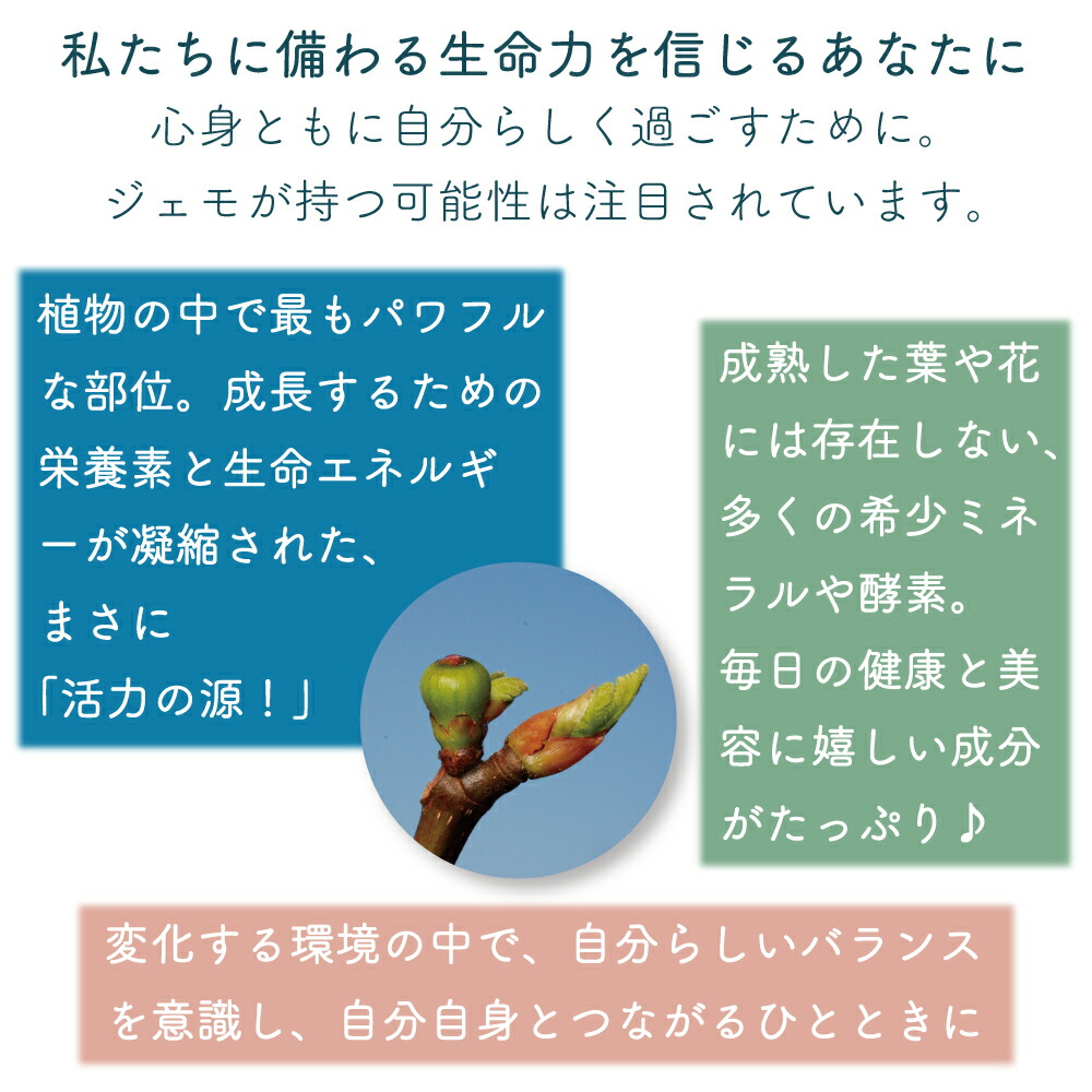 楽天市場】ジェモセラピー クルミ おなか バランス 腸活 無添加 無農薬