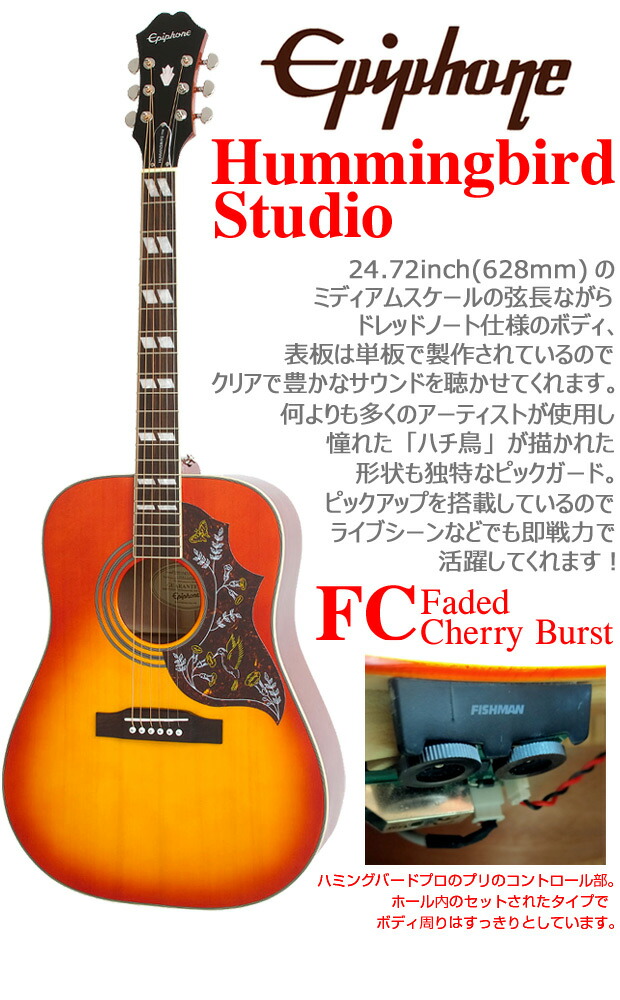楽天市場】Epiphone エピフォン アコースティックギター Hummingbird