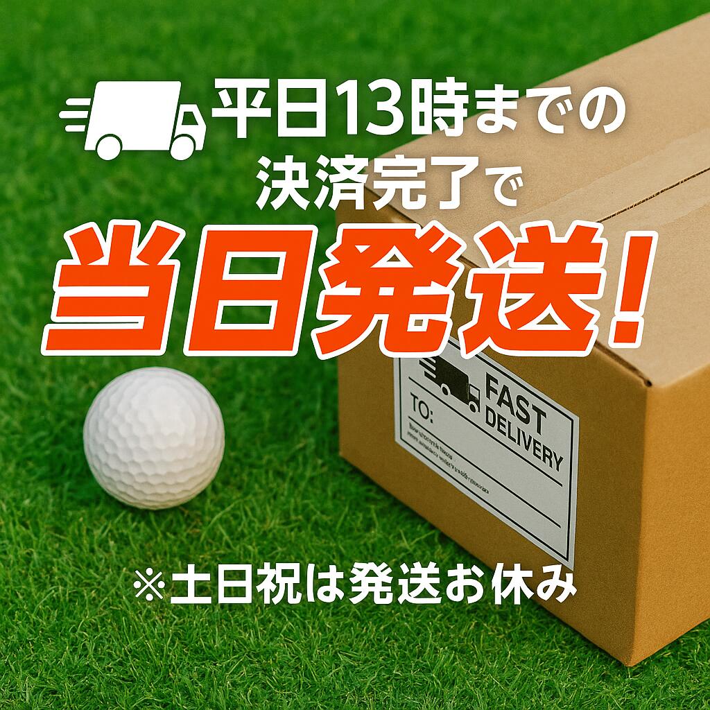 楽天市場】ロストボール タイトリスト PRO V1 年代混合 ホワイト 30球