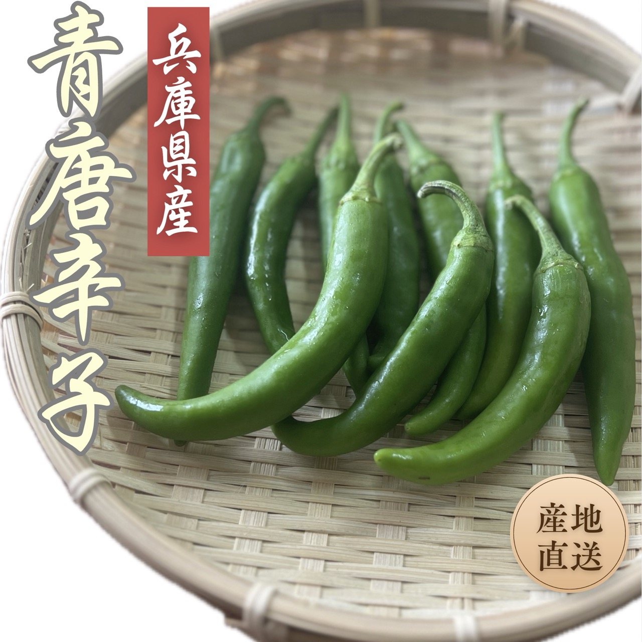 楽天市場】◇ 兵庫県産 青唐辛子 【200g】◇ 産地直送 青とうがらし 生