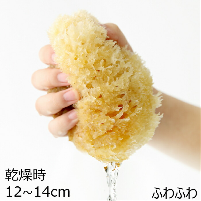 楽天市場】海綿スポンジボディ洗い ボディケア フットケア敏感肌