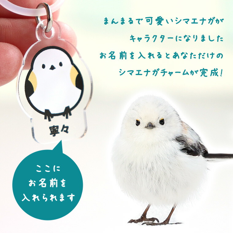 楽天市場】マーカーチャーム シマエナガ アクリル製 全9色 アン