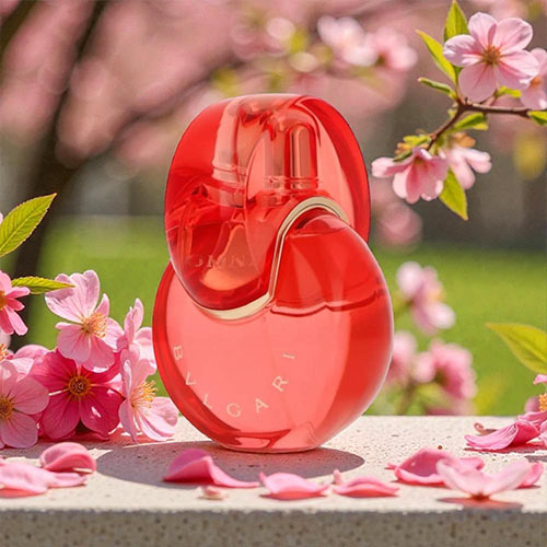 楽天市場】プラダ PRADA キャンディナイト EDP 50ml PRADA CANDY NIGHT