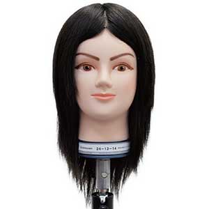 楽天市場】国家試験 カットウィッグ ユーカリの通販