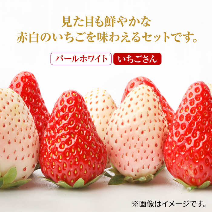 楽天市場】【ふるさと納税】【2026年1月以降発送】 赤白いちご「いちご