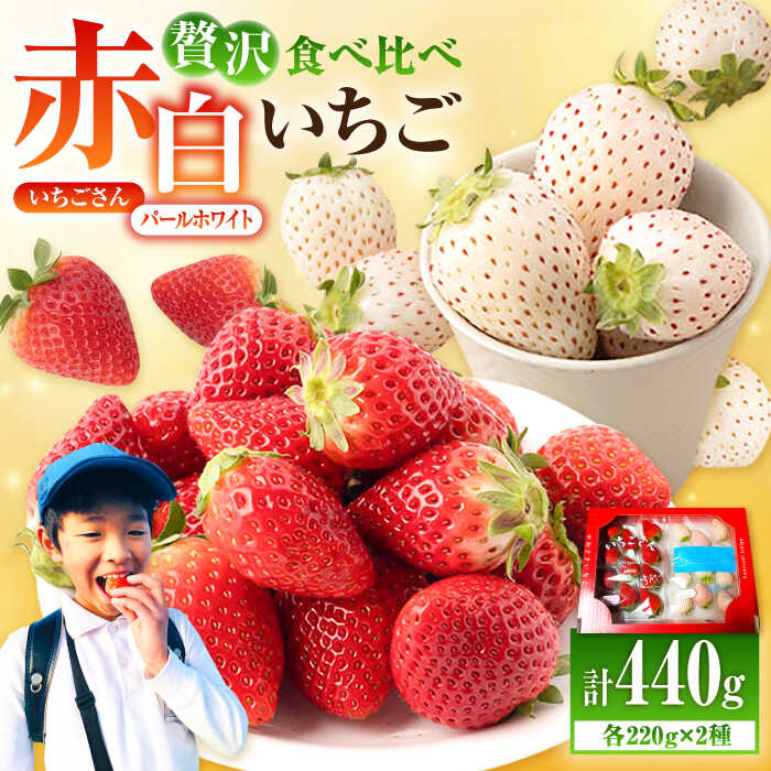 楽天市場】【ふるさと納税】【2026年1月以降発送】 赤白いちご「いちご
