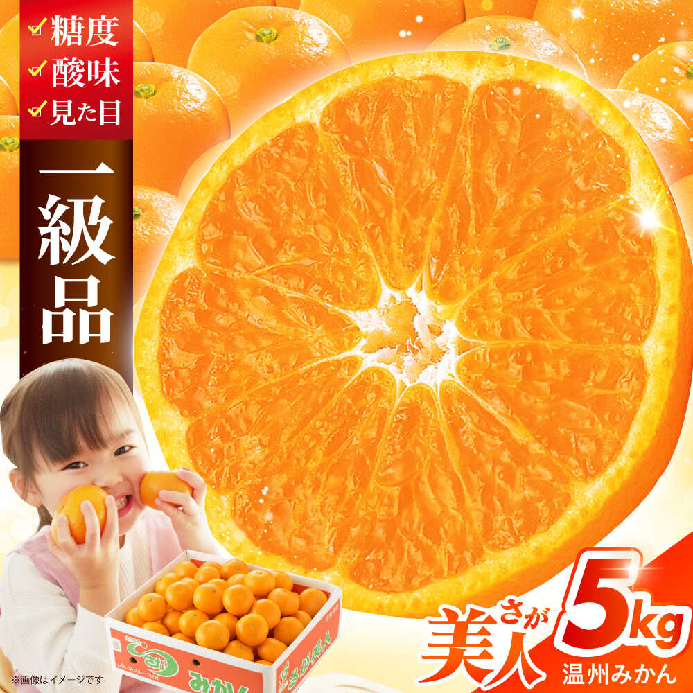 楽天市場】【ふるさと納税】 佐賀みかん （さが美人）5kg 【JAさが