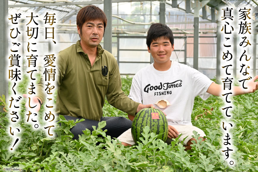 楽天市場】【ふるさと納税】 AG060【令和8年度出荷分】超特大！大玉