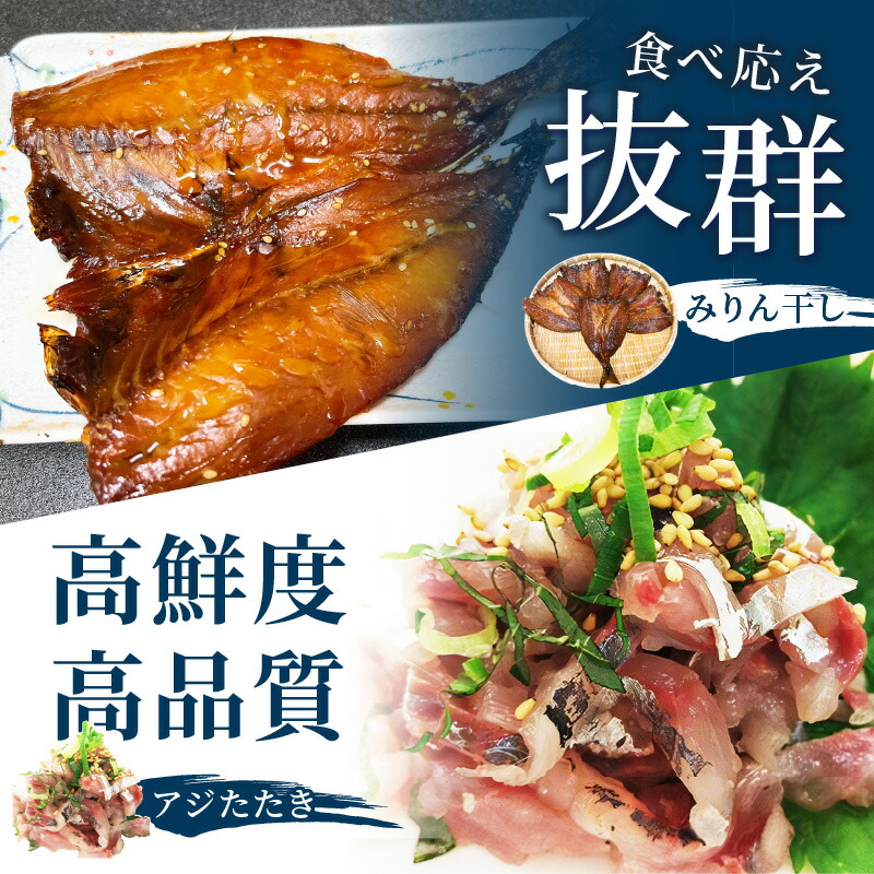 楽天市場】【ふるさと納税】 「青のまち 松浦」アジ堪能コース定期便全