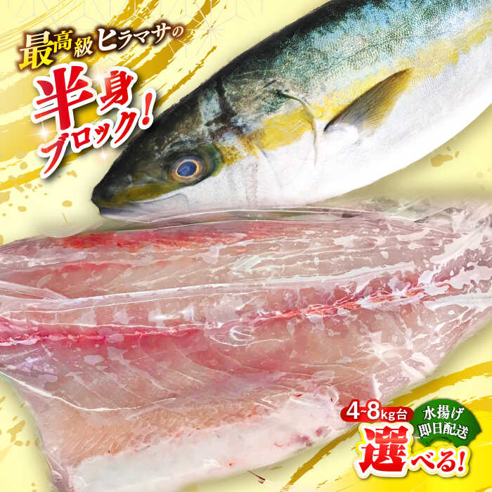 楽天市場】【ふるさと納税】壱岐島産天然ヒラマサ（選べる！4〜8キロ台