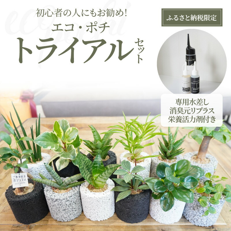 楽天市場】【ふるさと納税】初心者の人にもお勧め！ エコ・ポチ