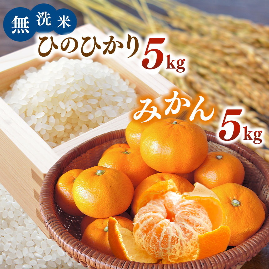 楽天市場】【ふるさと納税】熊本県 和水町産 無洗米「 ひのひかり