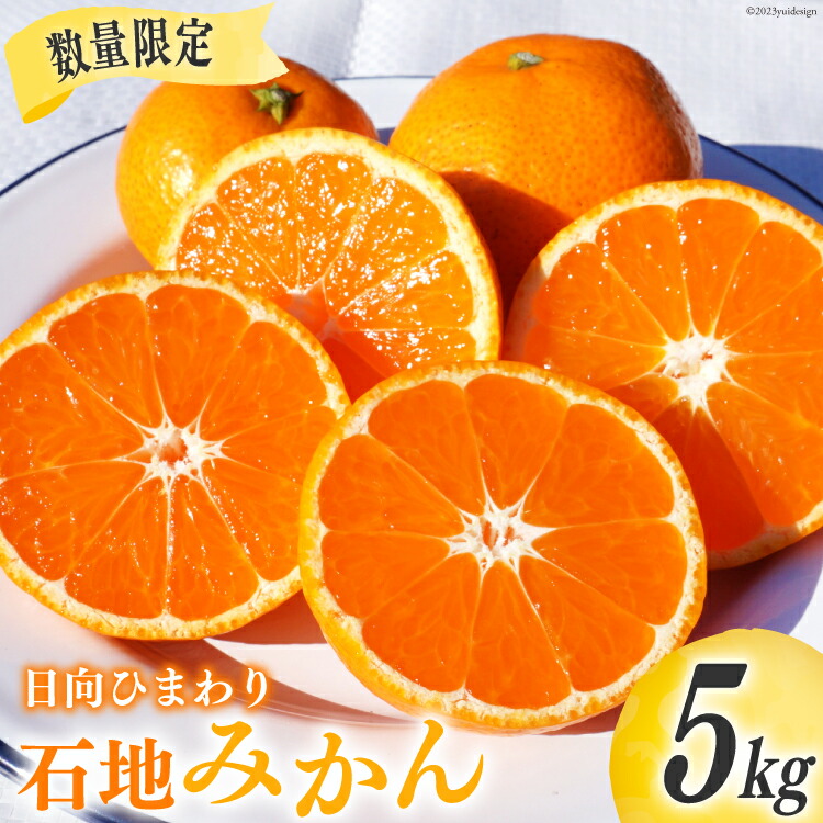 楽天市場】【ふるさと納税】 レビューキャンペーン 【期間限定発送