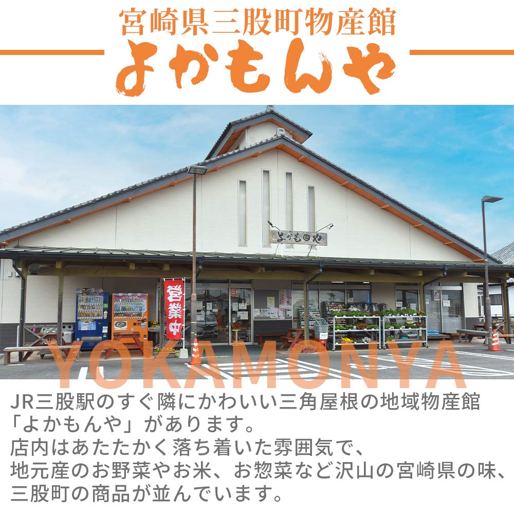 楽天市場】【ふるさと納税】選べる内容量＜訳あり 刻みたくあん 1p250g