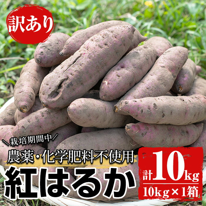 楽天市場】【ふるさと納税】≪訳あり・期間限定≫国産さつまいも(紅