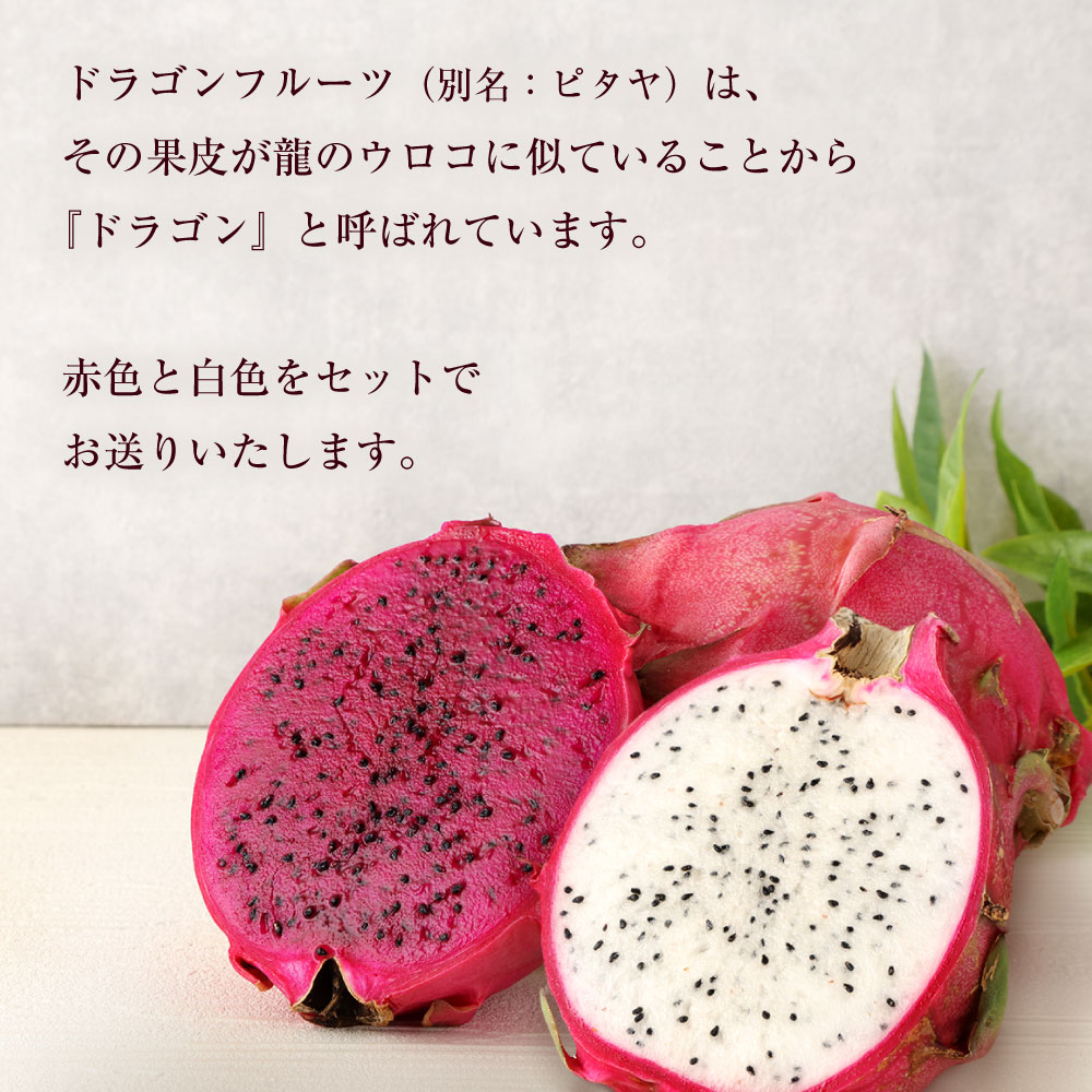 楽天市場】【ふるさと納税】【2026年発送】徳之島 天城町産 ドラゴン