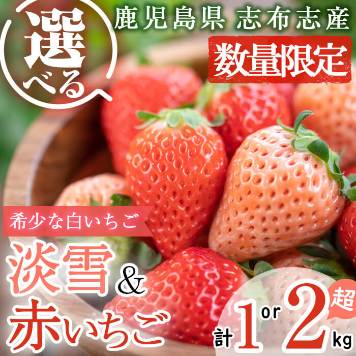 楽天市場】【ふるさと納税】【セット内容と内容量が選べる！】【数量