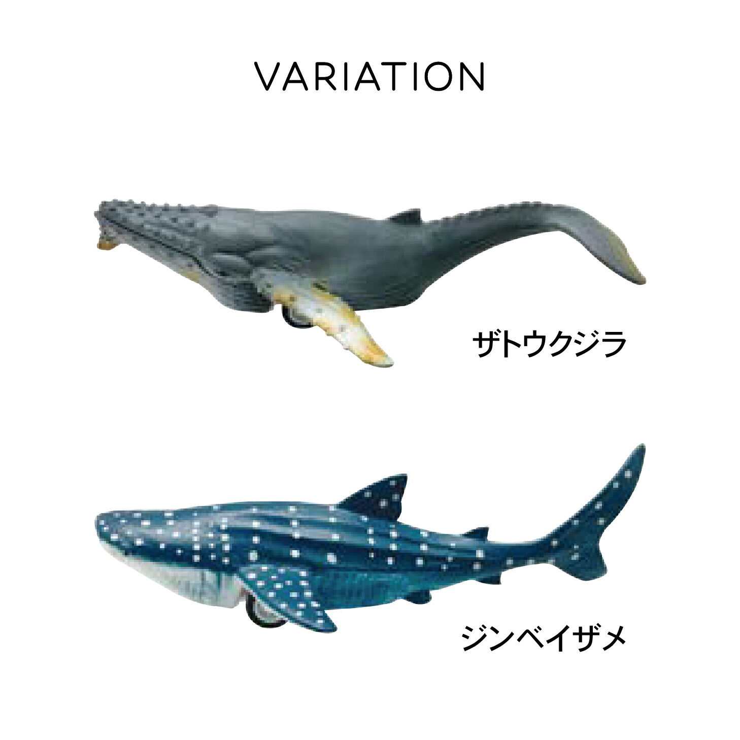 楽天市場】【 海の生き物 】 プルバックカー 全6種類 クジラ サメ
