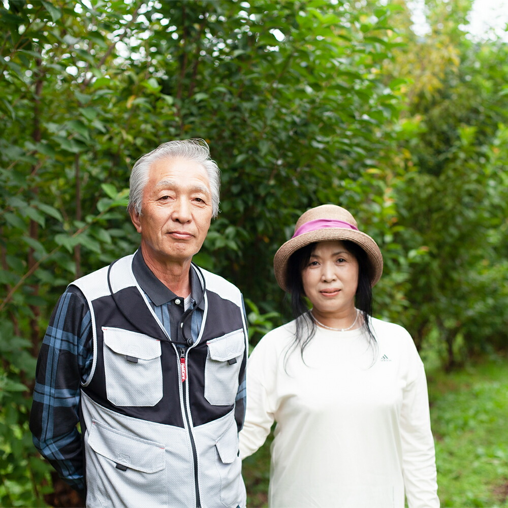 楽天市場】【ふるさと納税】 啓翁桜とピンクネコヤナギセット ( 50