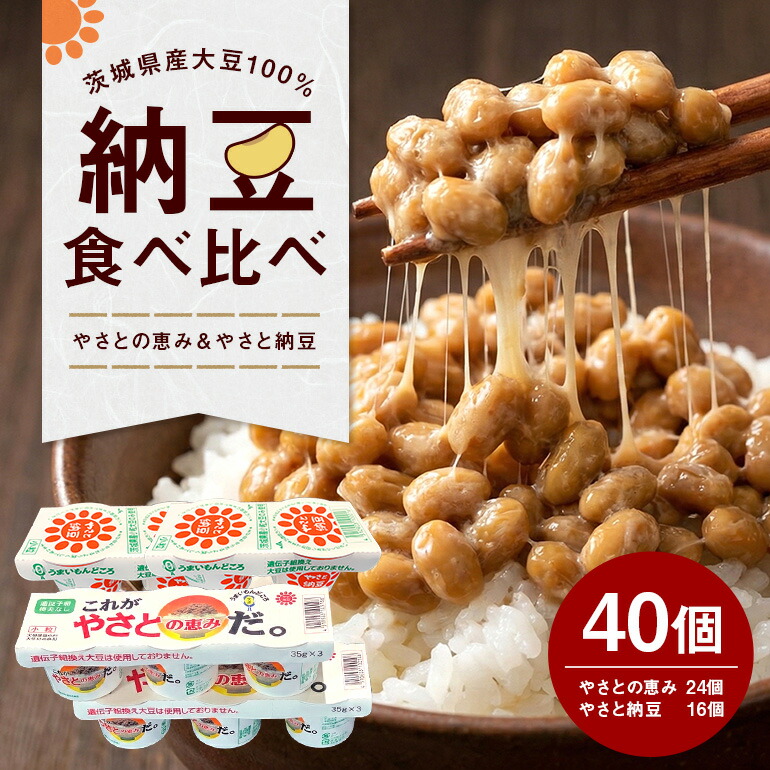 楽天市場】【ふるさと納税】 これがやさとの恵みだ&やさと納豆 40食