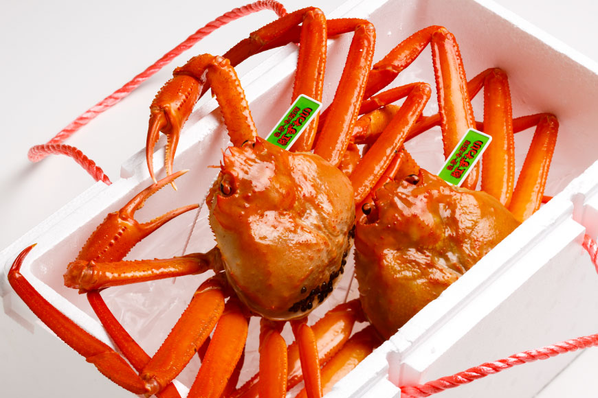 楽天市場】【ふるさと納税】 【能登半島 漁協直送 3月以降発送】 活 紅