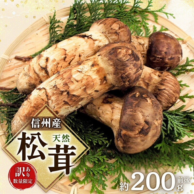 楽天市場】【ふるさと納税】【訳あり】数量限定/信州産「天然松茸