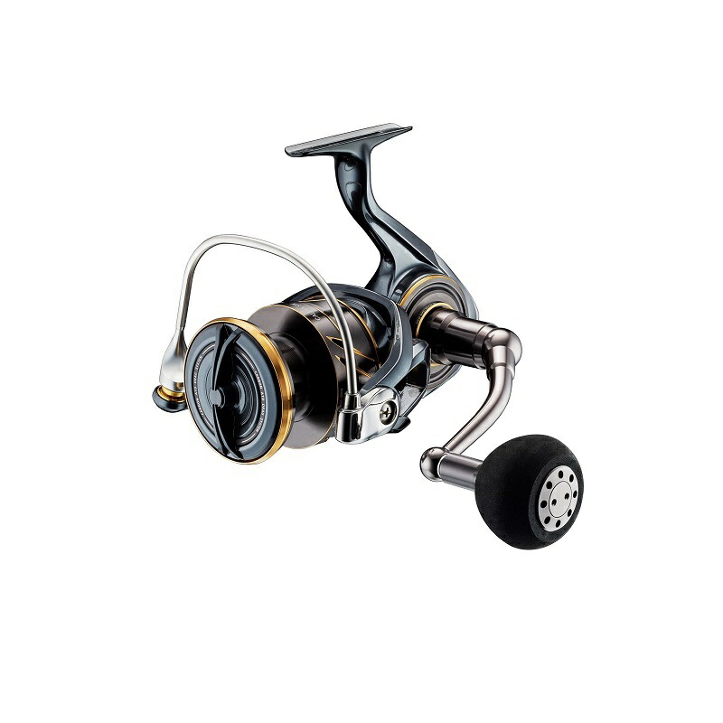 ダイワ カルディア SW 6000S-H (リール) 価格比較 - 価格.com