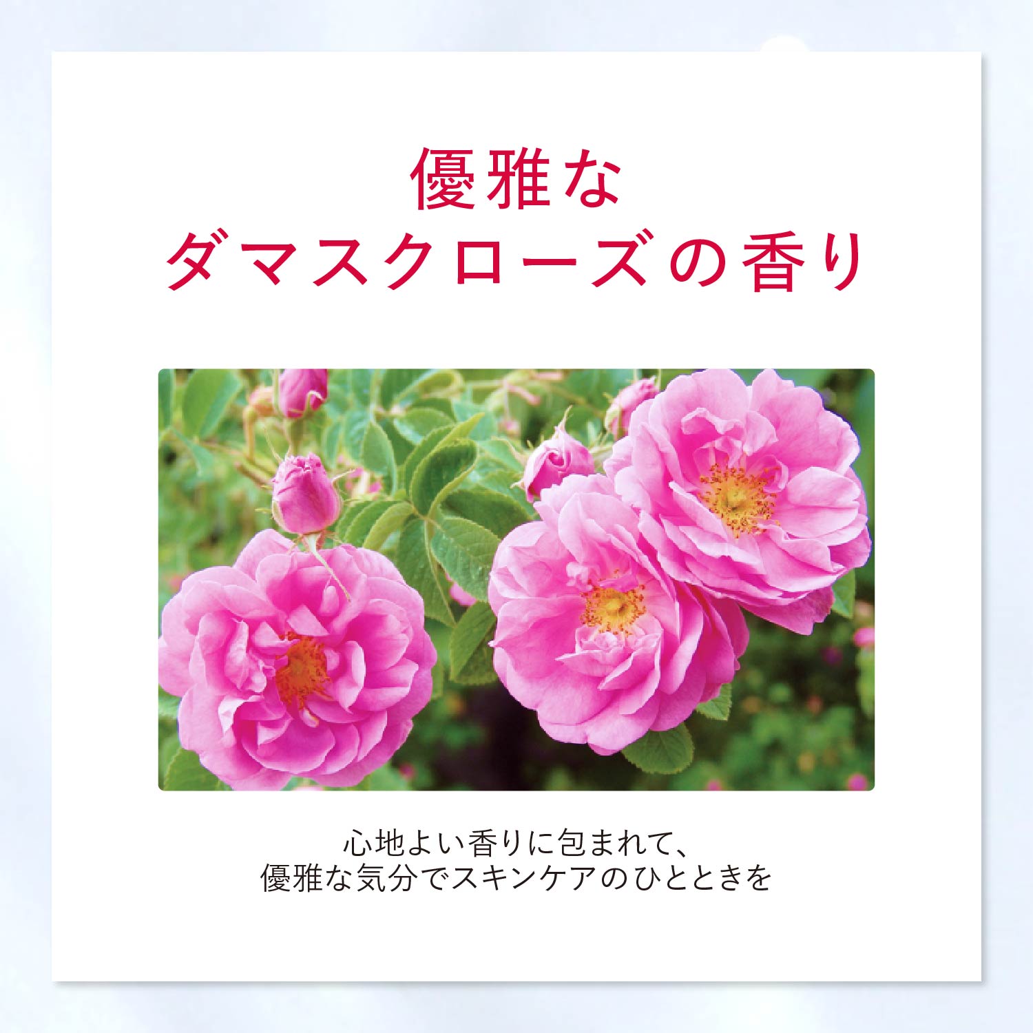 楽天市場】アスタリフト ホワイト アドバンスドクリーム 30g 付け替え