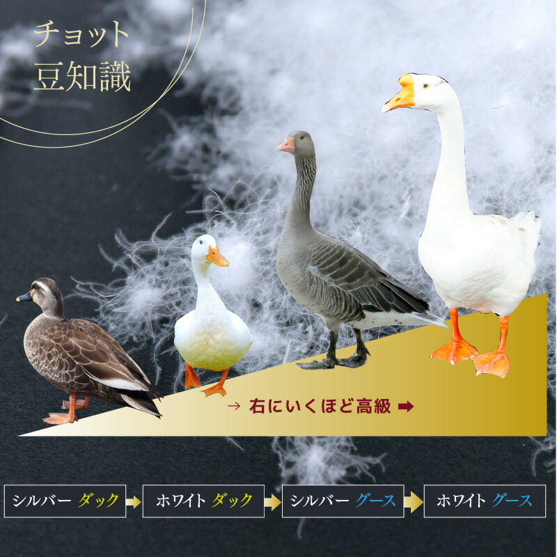 楽天市場】羽毛布団 シングル 日本製 フランス産 マザーホワイトダック