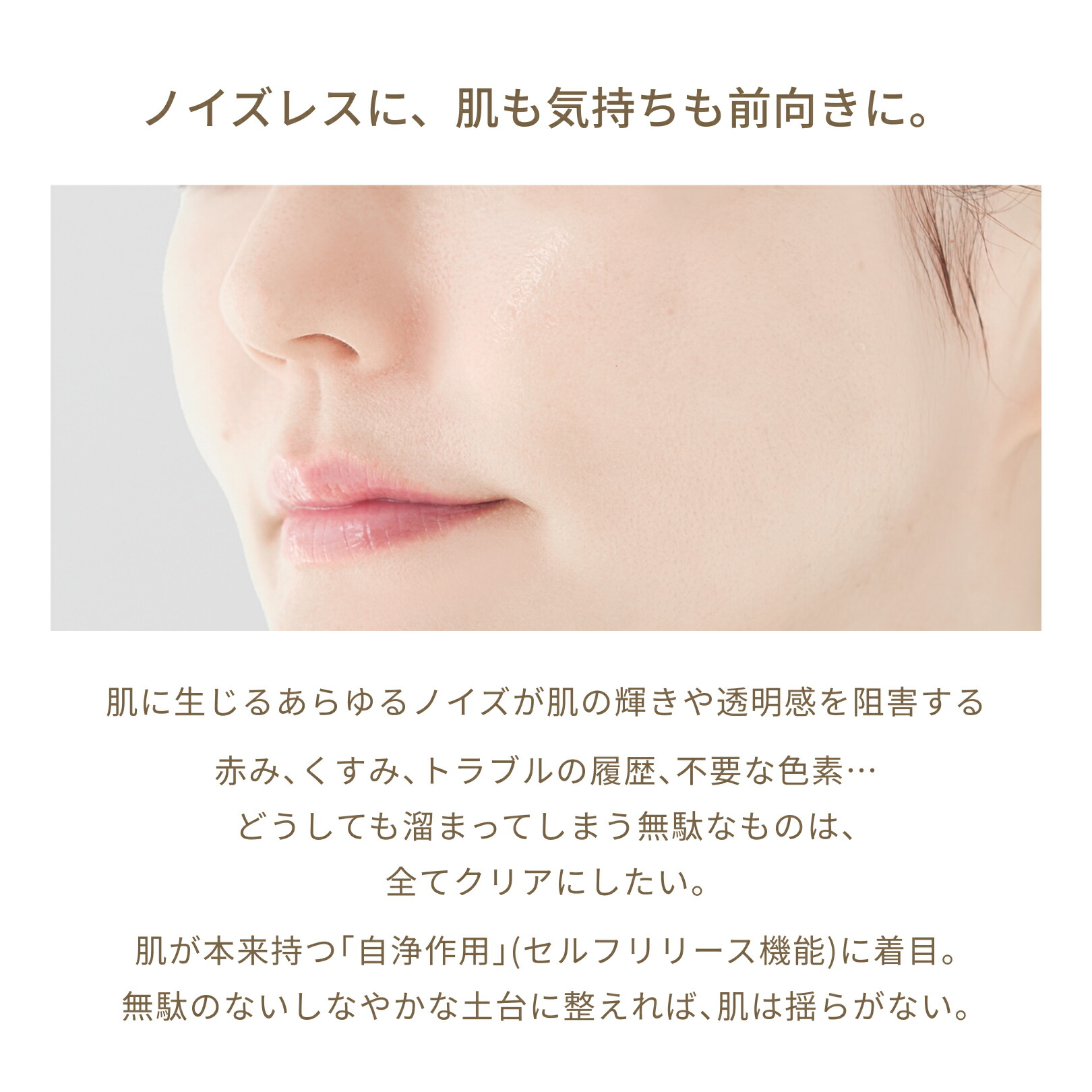 楽天市場】FATUITE公式 ブライテスト リリーシングローションa 乾燥