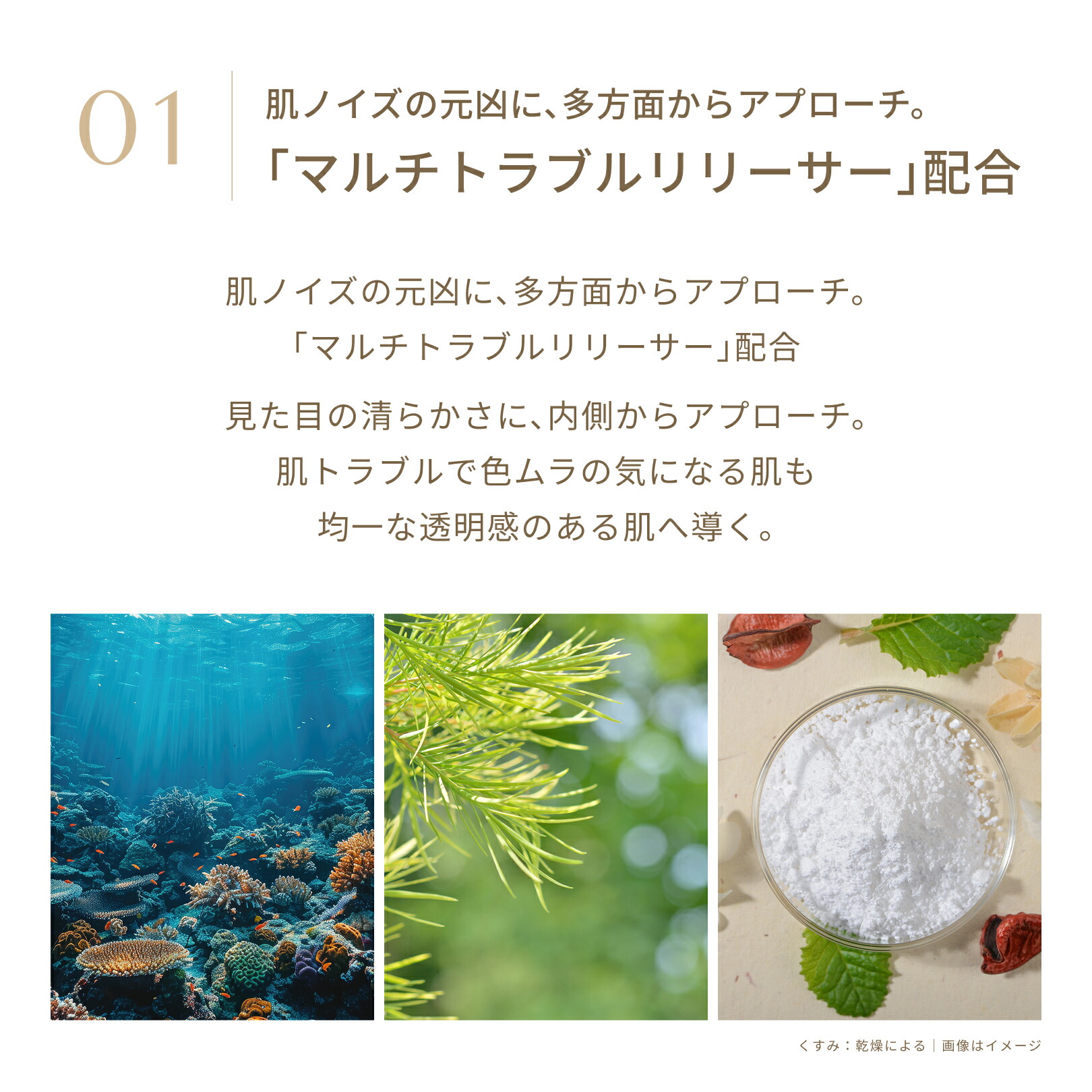 楽天市場】ブライテスト ファーストエッセンスa リリーシング