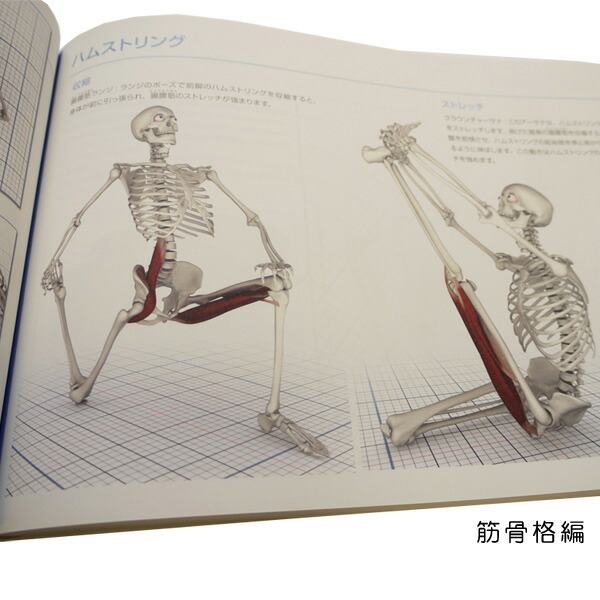 楽天市場】「図解YOGAアナトミー 筋骨格編 」 [UTL アンダーザライト