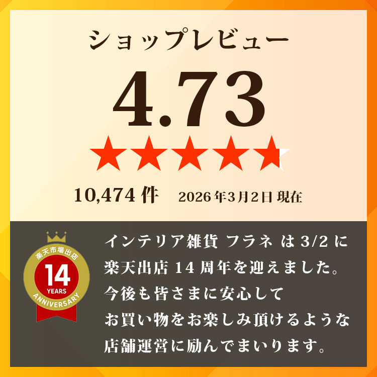 楽天市場】【1000円OFFクーポン】専用カートリッジ PROLITEC AirQ160