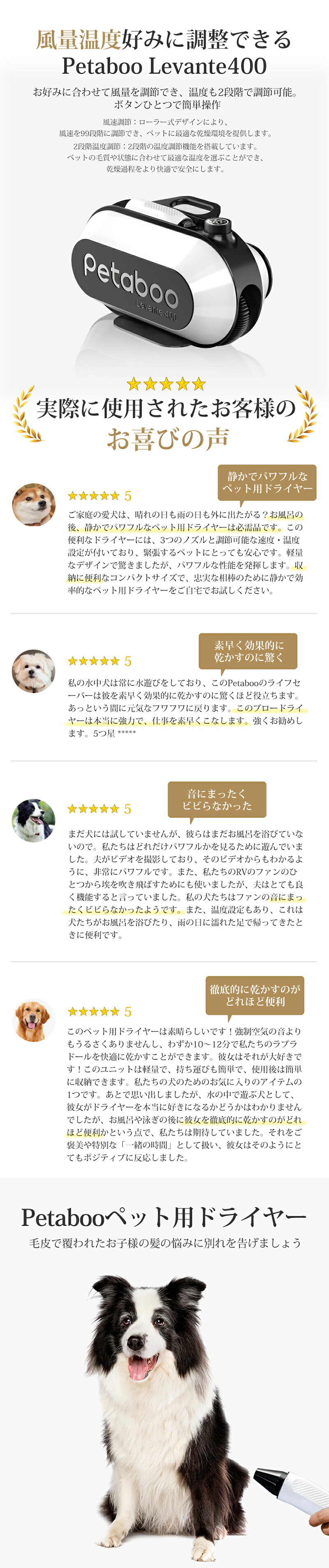 楽天市場】【最大18％OFF+P15】【Petaboo】ペット ドライヤー【楽天1位