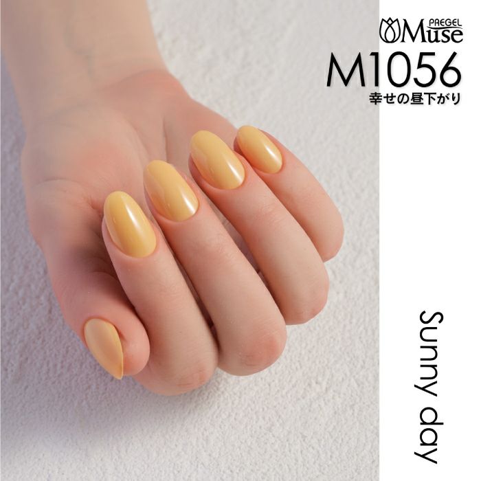 楽天市場】PREGEL プリジェル ミューズ サニーデイシリーズ 6色セット