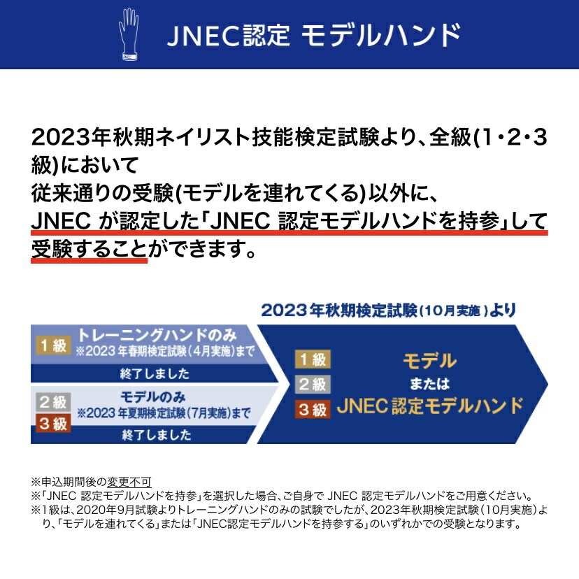 楽天市場】JNEC認定 STモデルハンド 3点セット ネイルチップ/ルース