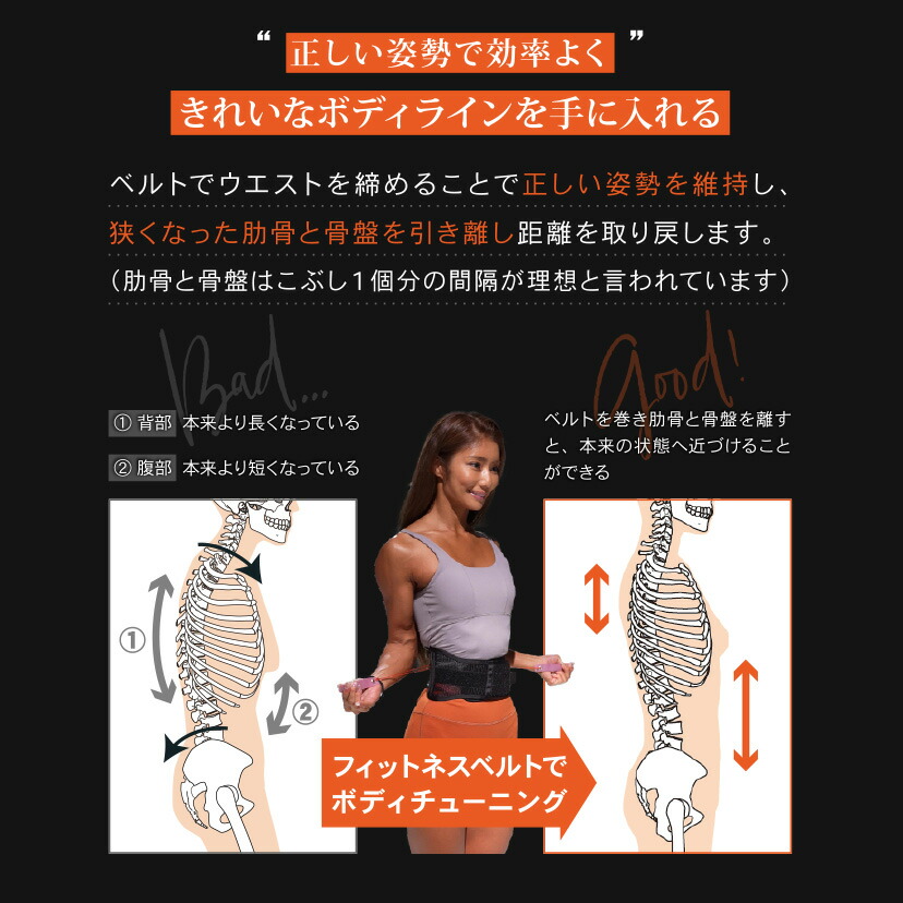 楽天市場】【正規品】 ガードナー フィットネスベルト トレーニング