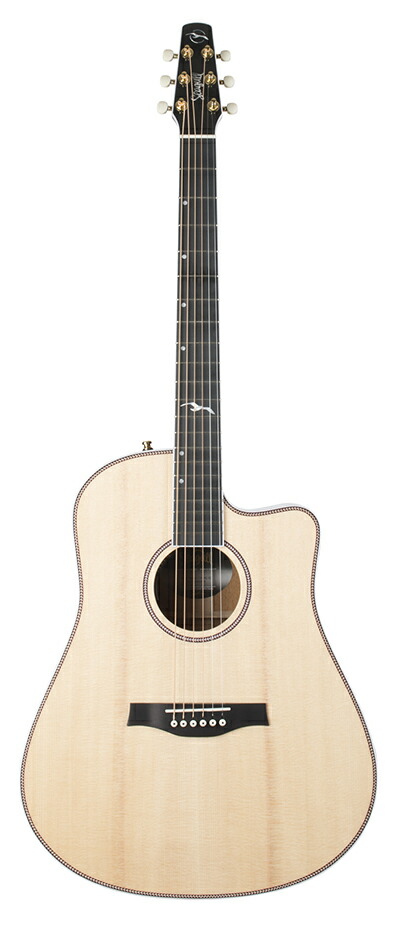 楽天市場】Seagull Artist Mosaic CW HG Anthem EQ[シーガル][アンセム