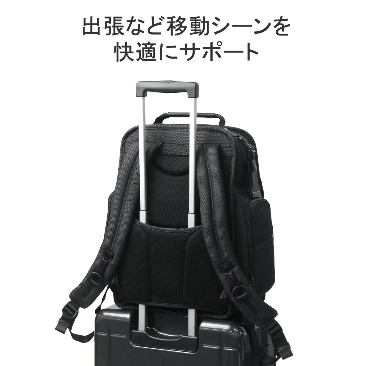 楽天市場】【最大41倍 2/25限定】【セール25%OFF】【正規品5年保証