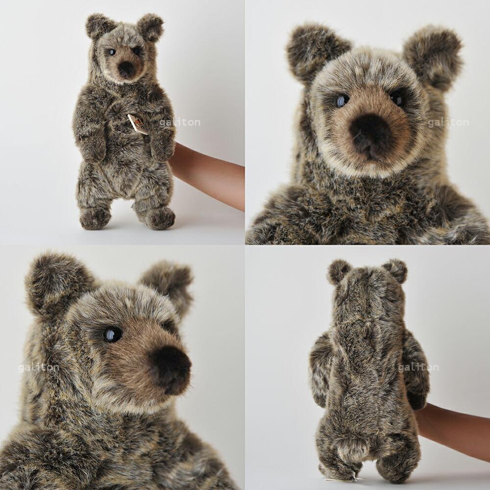 楽天市場】ケーセン Koesen ぬいぐるみ ソフトベア グリズリー（小