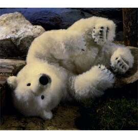 楽天市場】ケーセン Koesen ぬいぐるみ 限定500 白クマ どろんこ