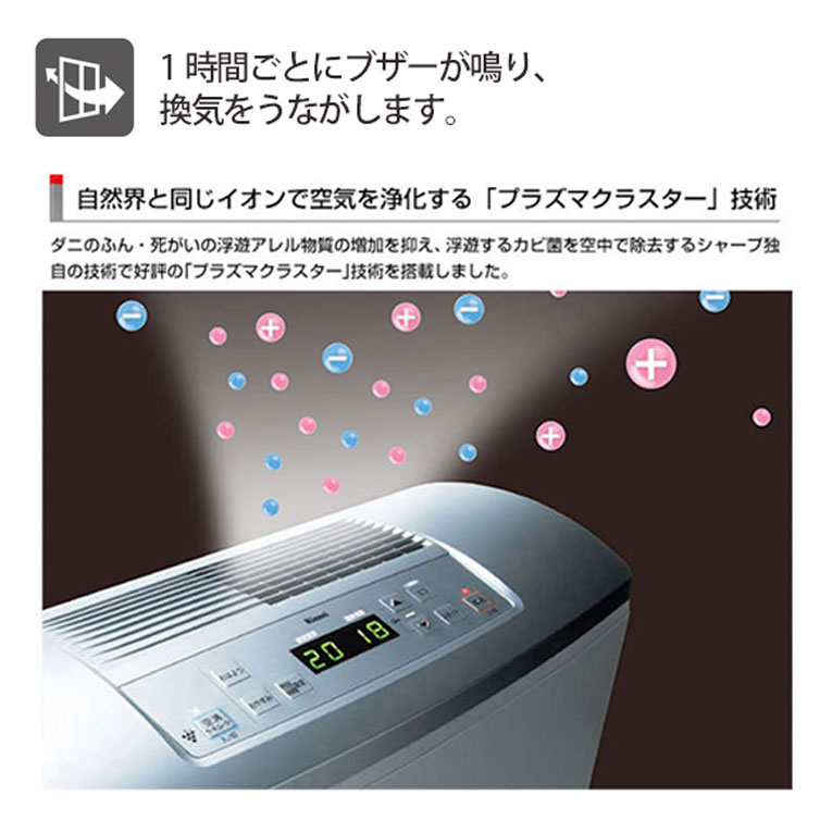 楽天市場】＼3月限定！最大100％ポイントバック！※要エントリー