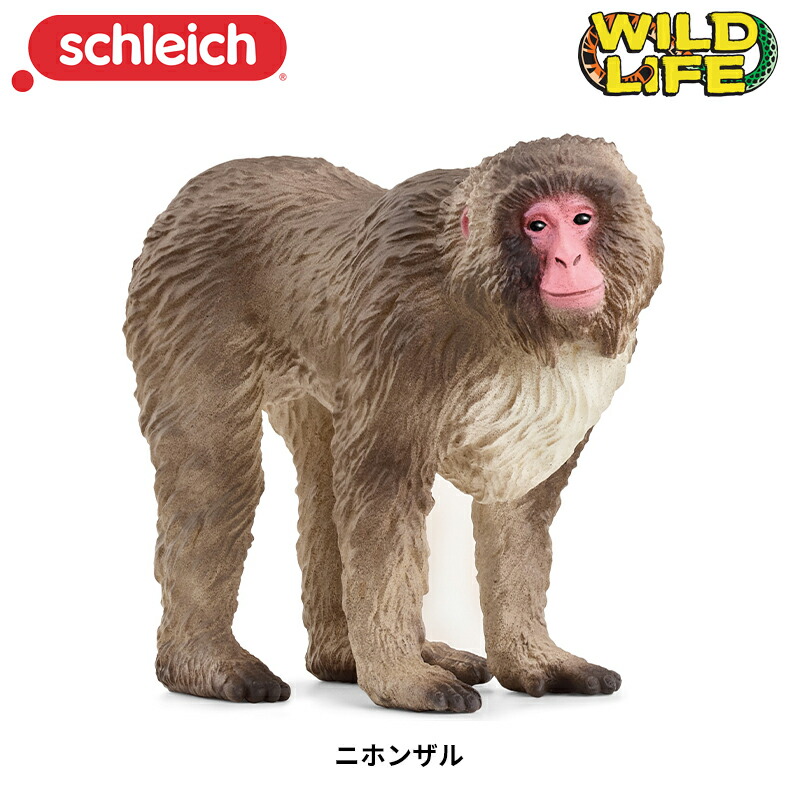 楽天市場】ニホンザル 14871 動物フィギュア Wild Life シュライヒ