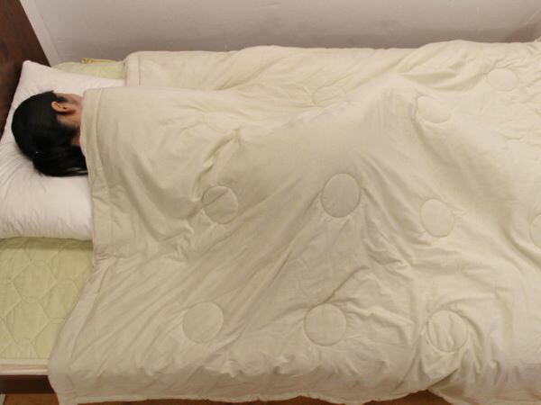 楽天市場】キャメル肌布団 シングルサイズ150×210cm 充填量0.8kg 日本