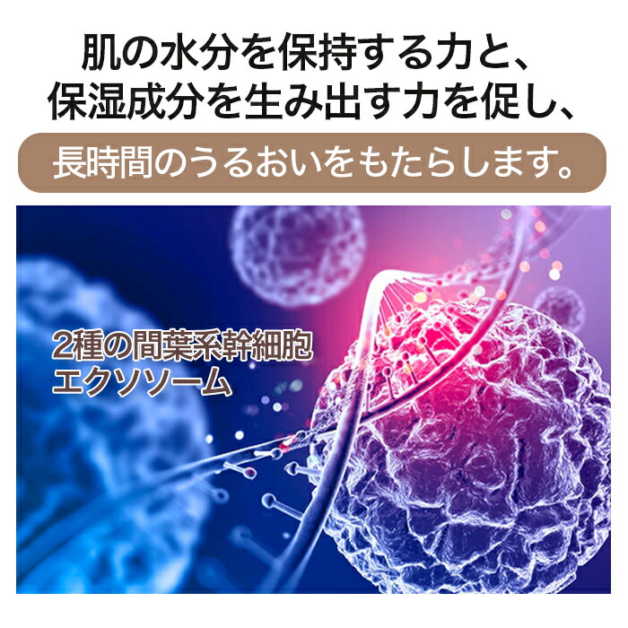 楽天市場】【リニューアル】DDS MATRIX マトリックス プレステージ