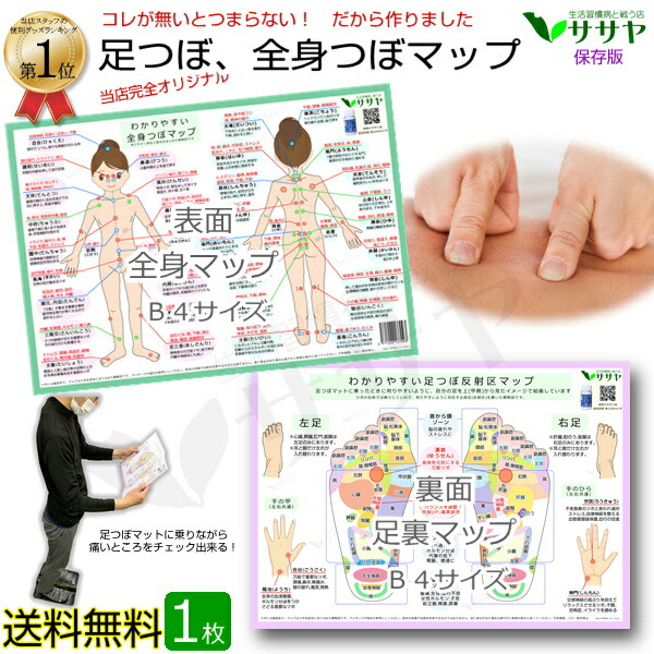 楽天市場】足つぼツボマップ 1枚 ツボマップ 足裏 反射区 全身 一覧表